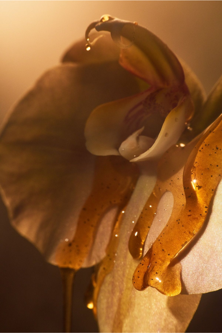 Quality without compromise. Value without question.